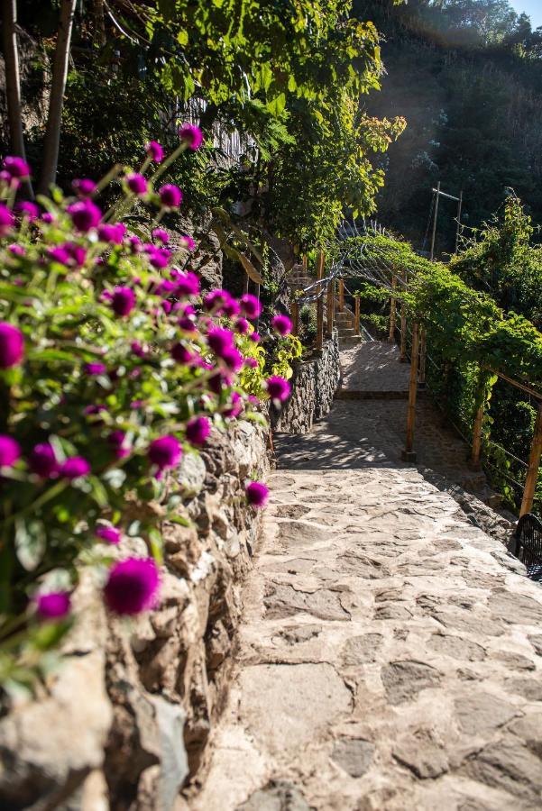 ホテル El Picnic Atitlan Tzununá エクステリア 写真